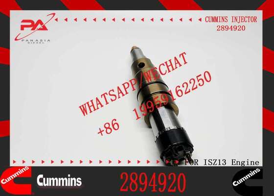 DSGENUINE 5579415 5579417 2894920 2872405 ISX15 CRI D10 ISX XPI diesel Engine Fuel Injector 5579415 5579417 2894920 2872405