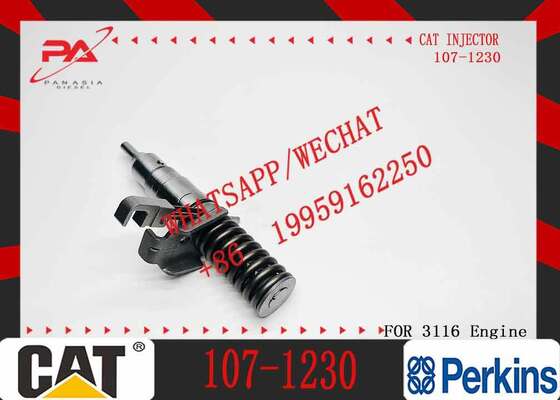 107-1230 127-8209 0R-8483 127-8222 Diesel Engine Fuel Injector For CCaterpillar CCAT 3116 200B 320B 322B 325B 446B Excavator Truck