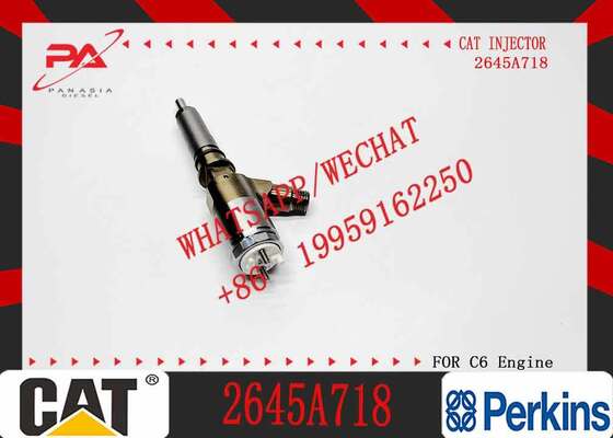 Excavator Parts Suppliers Excavator Injector 2645A749 2645A719 2645A718 2645A751 2645A746 2645A745 for C6.6 Cat Engine
