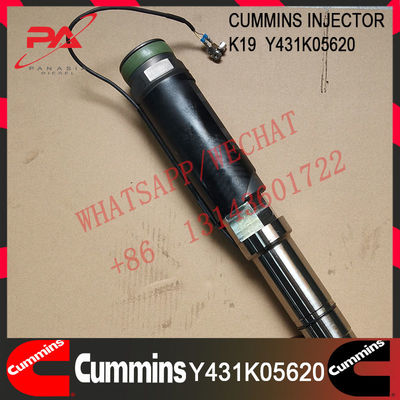 Y431K05620 Cummins K19 Diesel Engine Y431K05620 Fuel Common Rail Injector