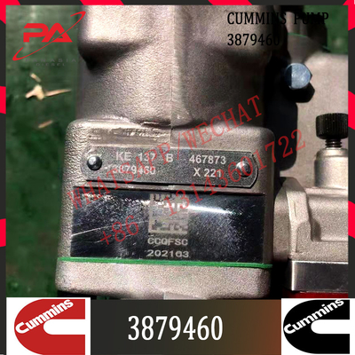 Cummins Diesel Engine Fuel System parts Fuel Pump 3879460